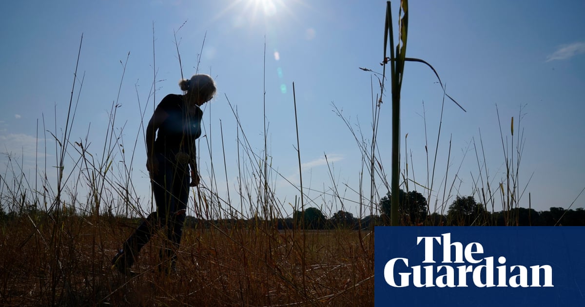 Shock to the system': farmers hit by Trump's tariffs and cuts say they need another bailout