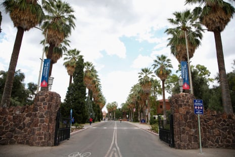 Road between stone gate lined by palm trees.