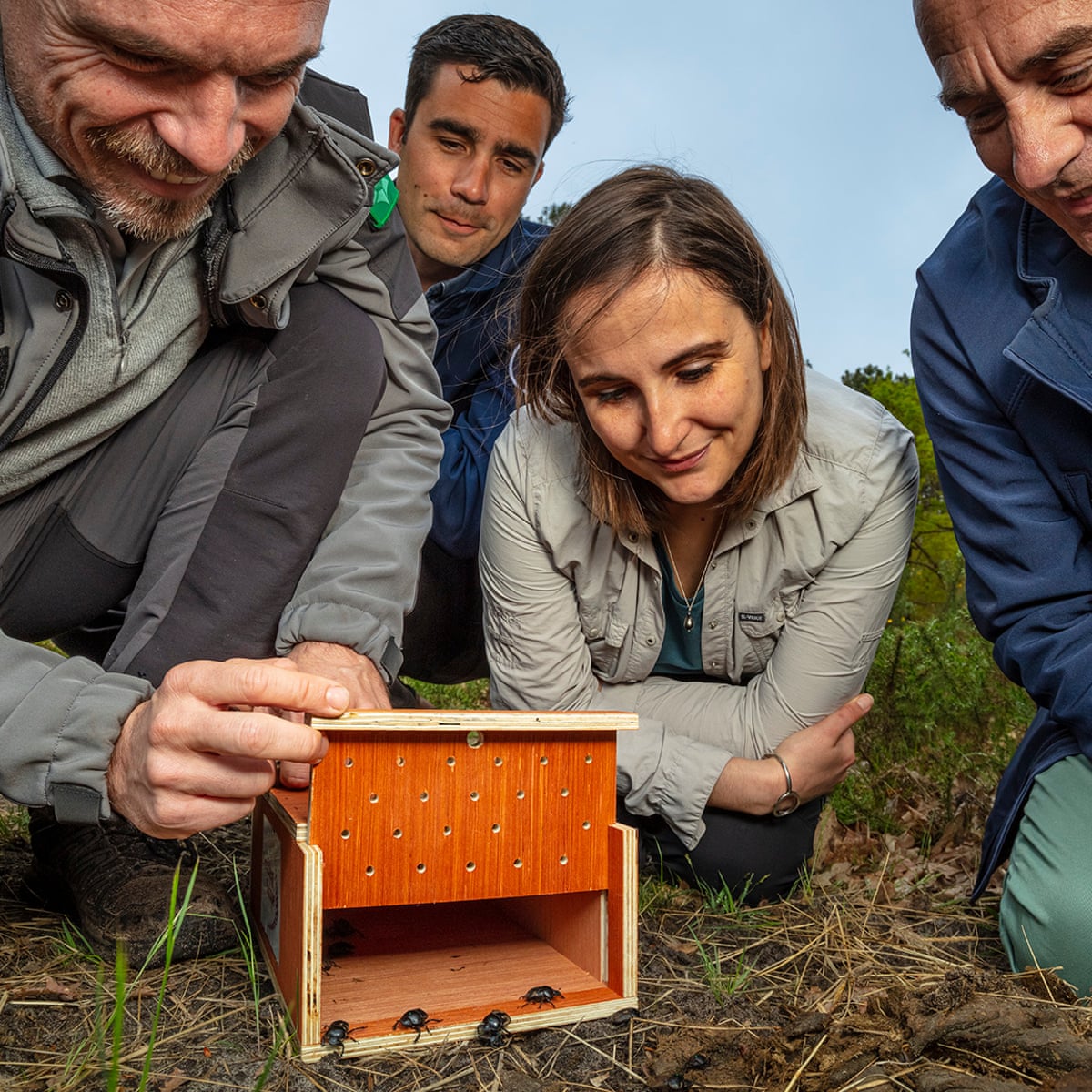 Keystone species and their role in rewilding