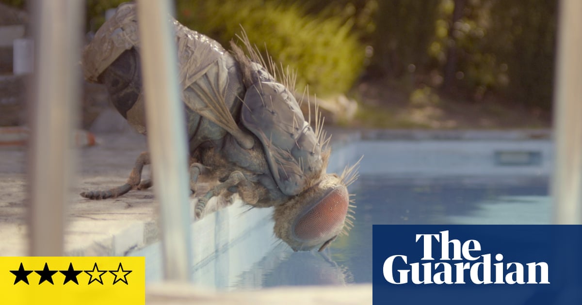 Mandibules review – bizarre giant-fly comedy runs out of sugar