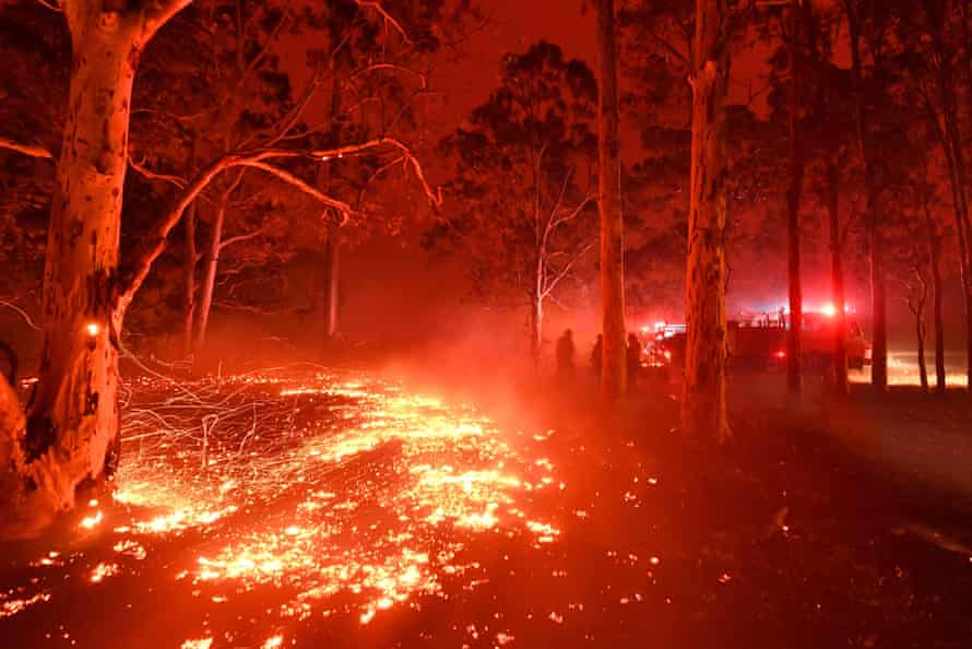 Burning embers cover the ground as firefighters battle against bushfires around the town of Nowra in New South Wales.