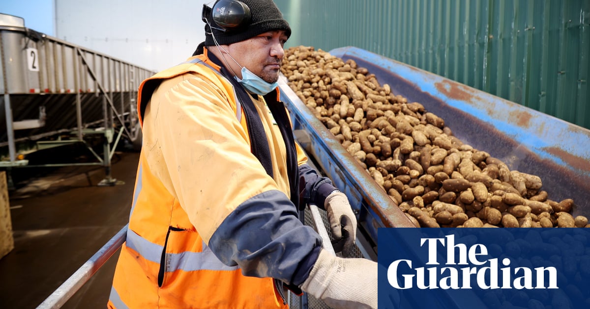 Blast food: chip factory calls bomb squad after muddy spud turns out to be grenade