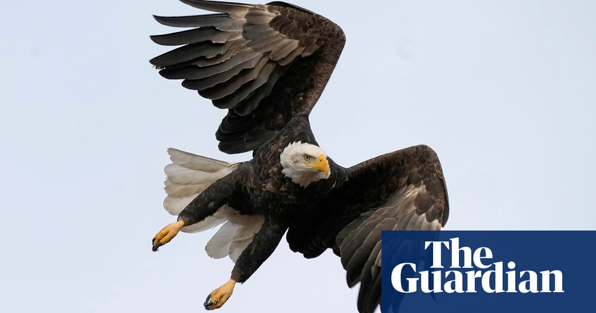 Беше издадена заповед за арест на Саймън Пол след като