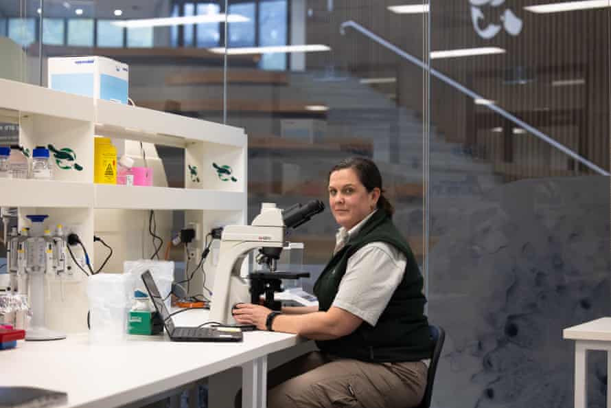 Jane Hall at the Australian Registry of Wildlife Health at Taronga zoo