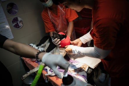 A dog wearing a red head bandage and a green bandage on its leg is treated by three veterinarians