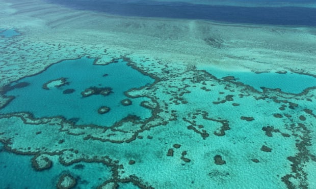 The Carmichael mine and port project threatens the Great Barrier Reef, say environmentalists.