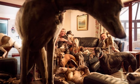 Rachel and Andrew with Ashleigh, Autumn, Avalon, Gracie, Herbie_Ismbard, Jess, Louis, Minerva, Moet, Molly, Phoenix, Rosie, Ruby, Sakura, Scooby, Violet, Zephyr, Zilli. www.livingwithdogsbook.com @livingwithdogsbook