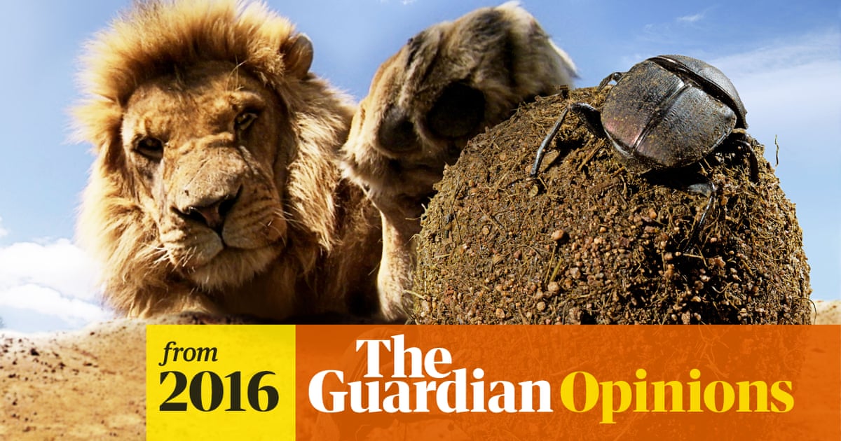 Imagine a world without animals. You'll soon see how much we need them |  Jules Howard | The Guardian
