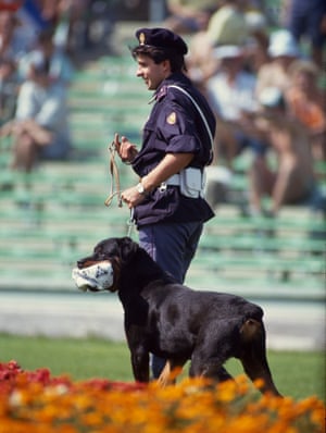 Un adiestrador de perros policía sonríe mientras su Rottweiler hace estallar una pelota de partido al margen de Argentina v Yugos lavia.