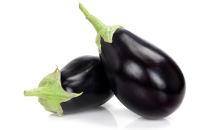 The eggplants in the room.