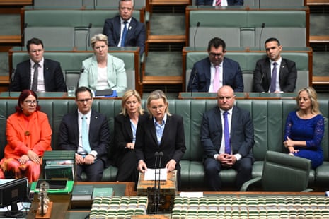 La líder de la oposición, Sussan Ley, habla el lunes por la mañana en la Cámara de Representantes sobre el Día Internacional de las Naciones Unidas para la Eliminación de la Violencia contra la Mujer.