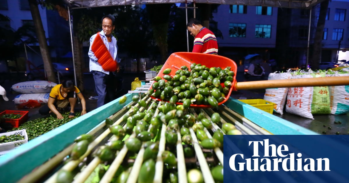 Fruit of the devil': Hainan's betel nut sellers suffer from stuttering economy