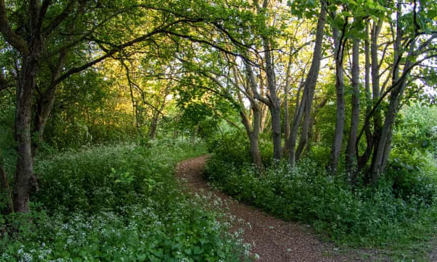 St Nick’s nature reserve, York.