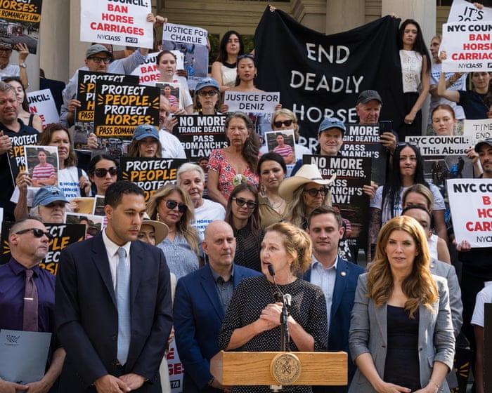 Central Park Horse Carriage Controversy: A Death Sparks Demands for Change