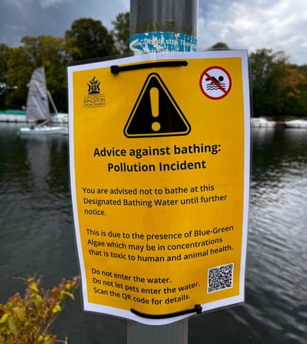 Yellow sign with exclamation mark on pole next to river advising against bathing