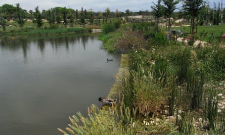 Since it opened in 2015, around 90 species of birds have been spotted in the park, while larvae-eating fish keep the mosquito population down.