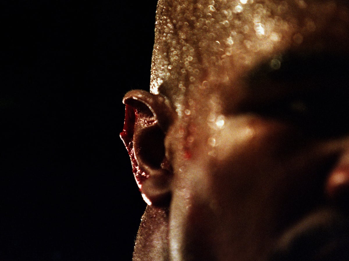 Mike Tyson vs. Evander Holyfield: The Bite Fight
