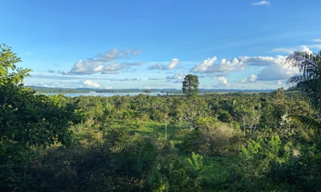 A view of an Amazon landscape