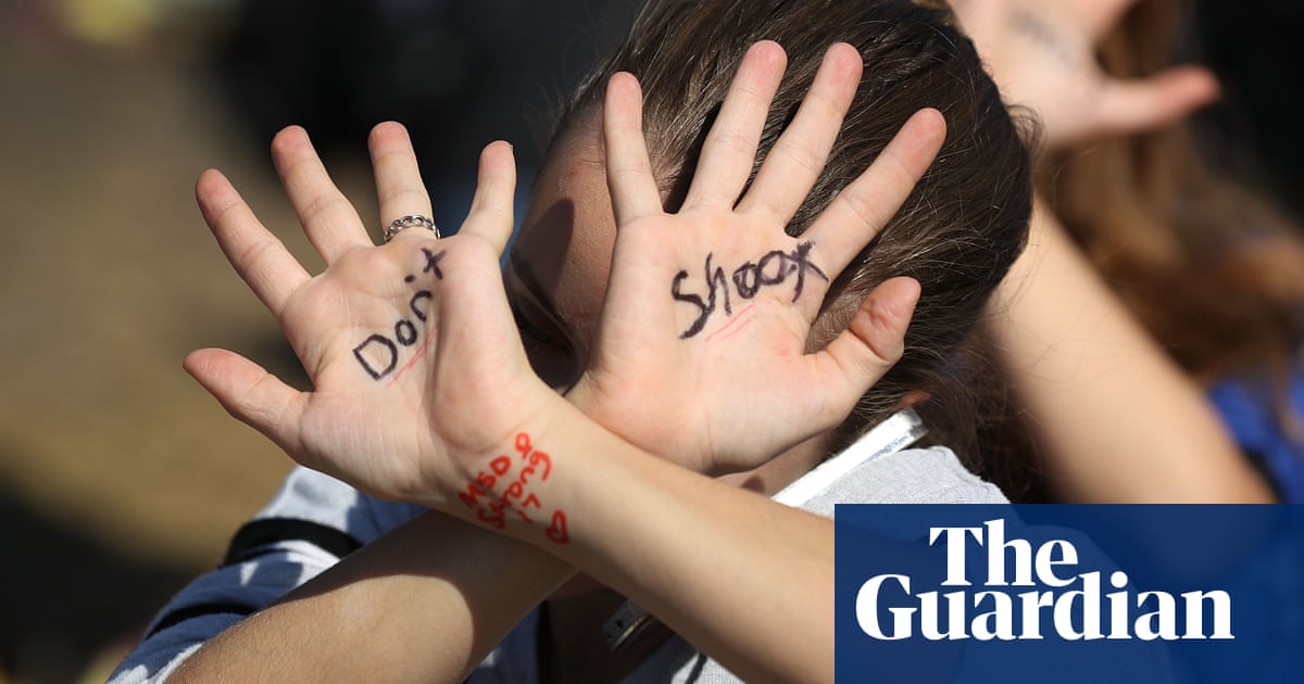 ‘Let gun safety be your target!’: protest signs from the US school ...