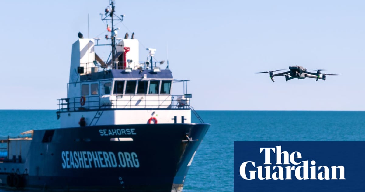 Eyes in the sky: why drones are ‘beyond effective’ for animal rights campaigners around the world | Drones (non-military)