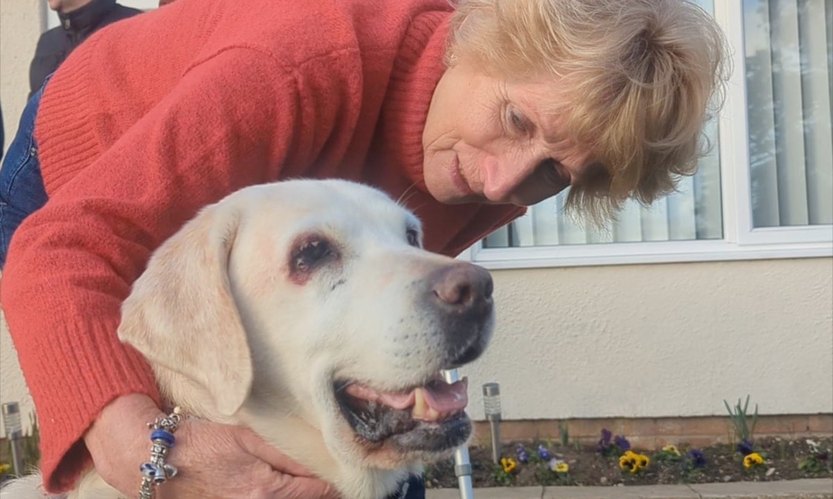 Norfolk couple reunited with their dog stolen seven years ago | Norfolk | The Guardian