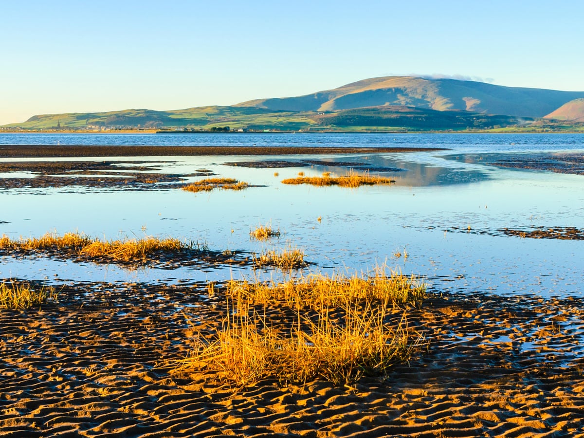 Skip The Lakes And See The Cumbrian Coast Without A Car Lake District Holidays The Guardian Skip The Lakes And See The Cumbrian Coast Without A Car Lake District Holidays The Guardian