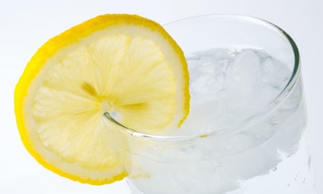 A juicy lemon perched on the side of a glass full of gin and tonic