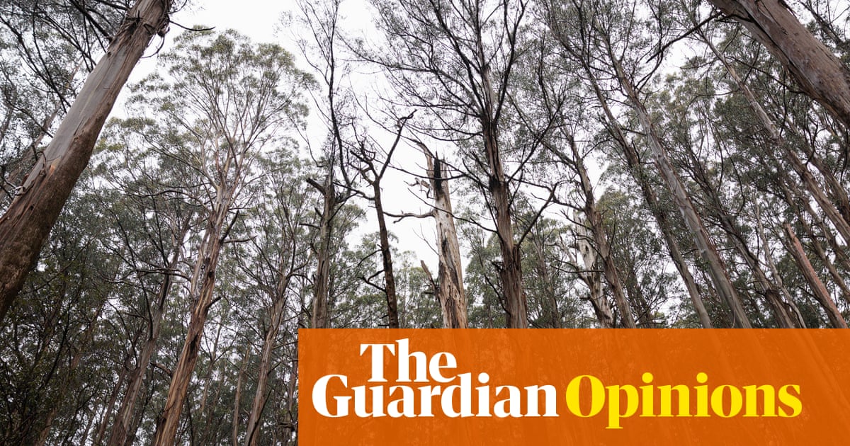 Biodiversity is in catastrophic decline. Here are three ways to ensure Australia's conservation law actually works | Atticus Fleming and Andrew Macintosh