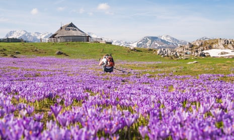 Spring In Greek Mountains