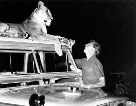 Black and white photo of David Attenborough in northern Kenya in 1961, with Elsa the lioness sitting on the roof of a jeep