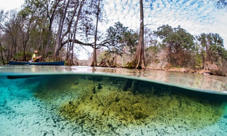 Ginnie Springs in Florida.