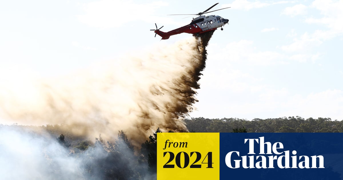 www.theguardian.com