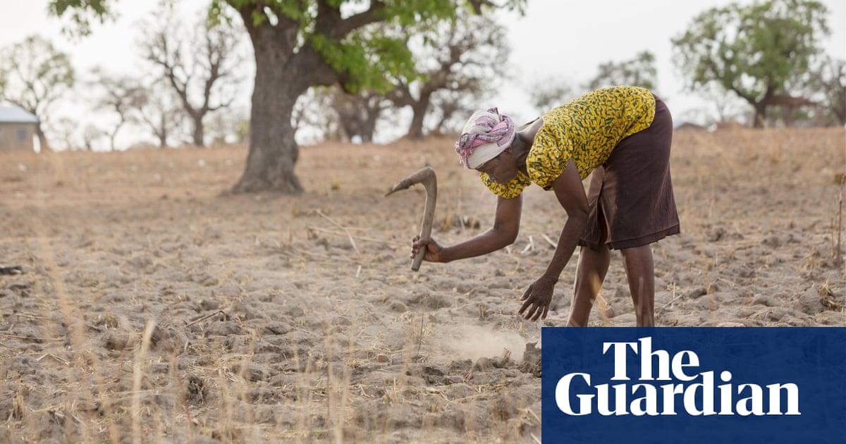 Third of global food production at risk from climate crisis - The Guardian