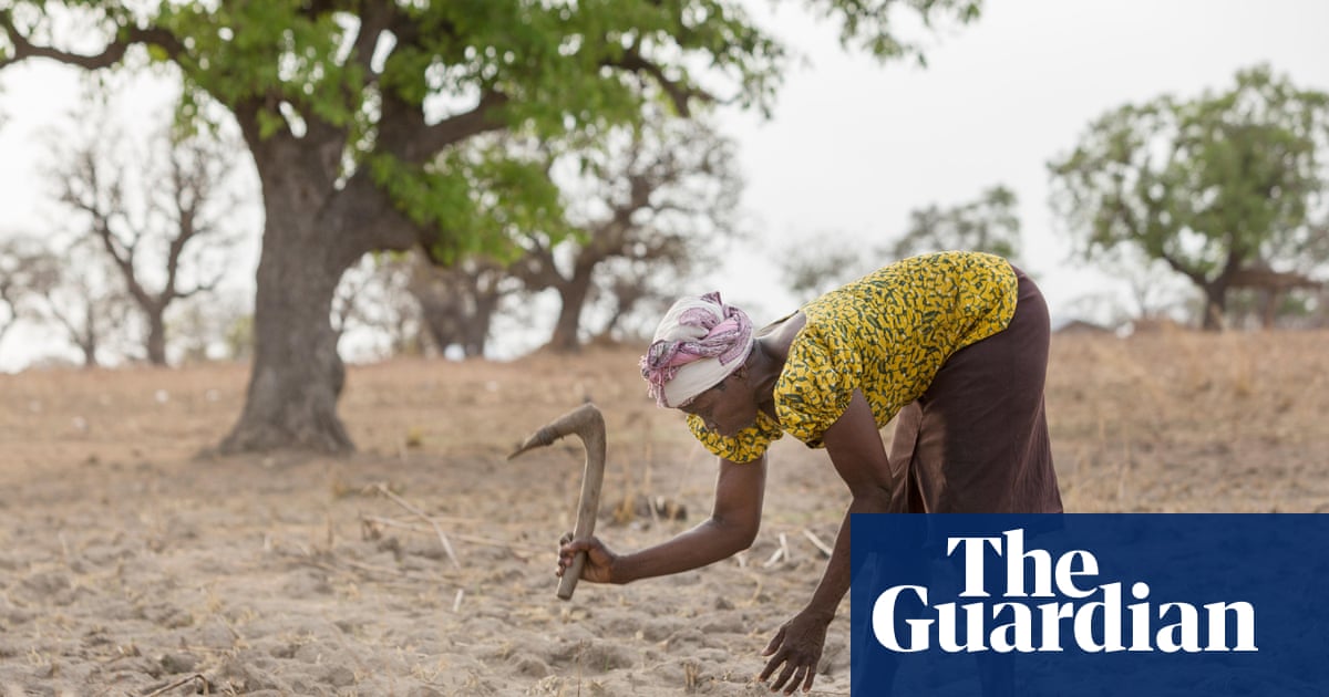 Spotlight on UN desertification summit as it mulls how to spend $12bn war chest
