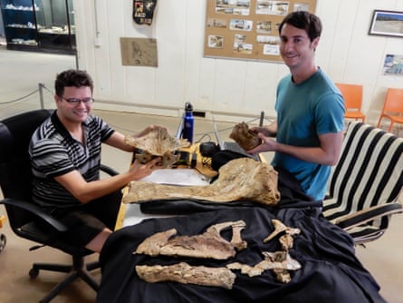 Dr Stephen Poropat, the study’s lead researcher, and Phil Mannion, working on the skull of Ann and some other dinosaur bones