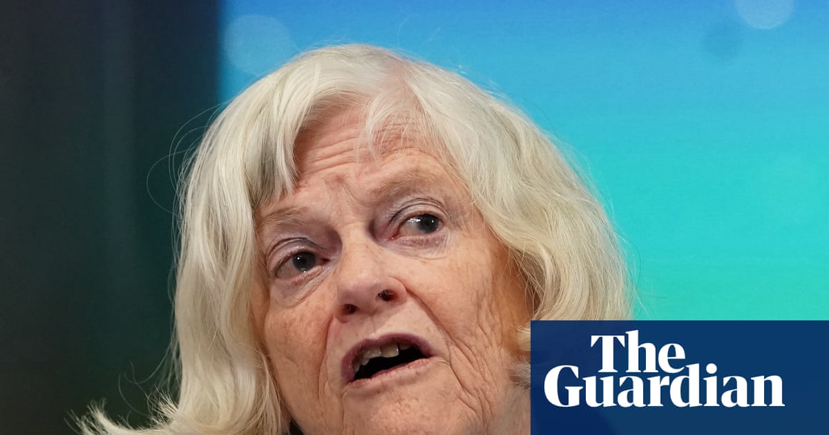 Ann Widdecombe police investigate whether accused had role in Farage incident