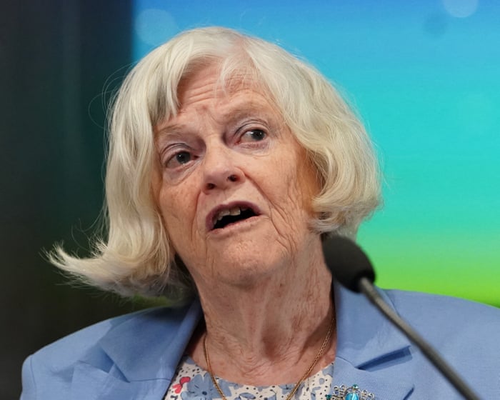 Ann Widdecombe police investigate whether accused had role in Farage incident — image supplied by The Guardian UK's feed