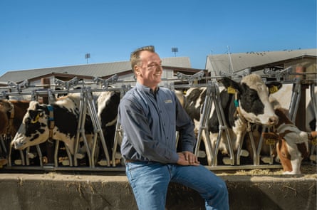 Man posing for an image in front of cows behind a fence.