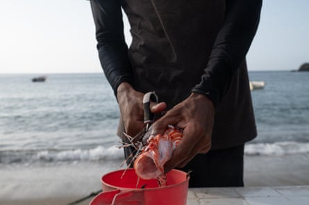 A man chops the dorsal fin off a lionfish using scissors