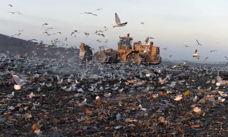 Andrew Macintosh criticised the award of carbon credits to projects that capture methane from landfill to generate electricity.