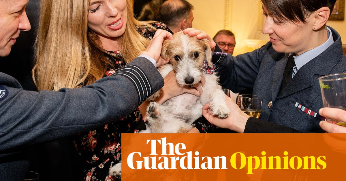 The election is affecting my mental health – at least I'm not Dilyn the dog | John Crace