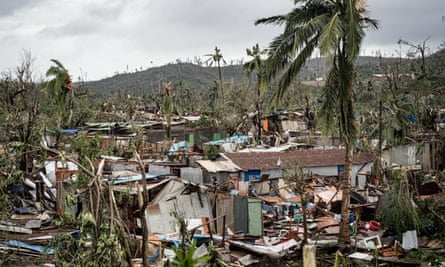 Destroyed housing amid a few palm trees