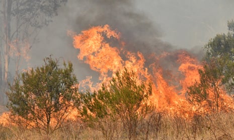 A bushfire in the northern NSW town of Drake