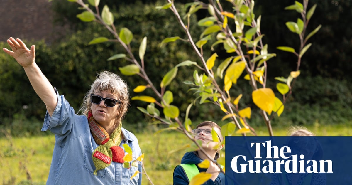 ‘We’ve planted the apple that fell on Newton’s head’: the artists striking back against the climate emergency