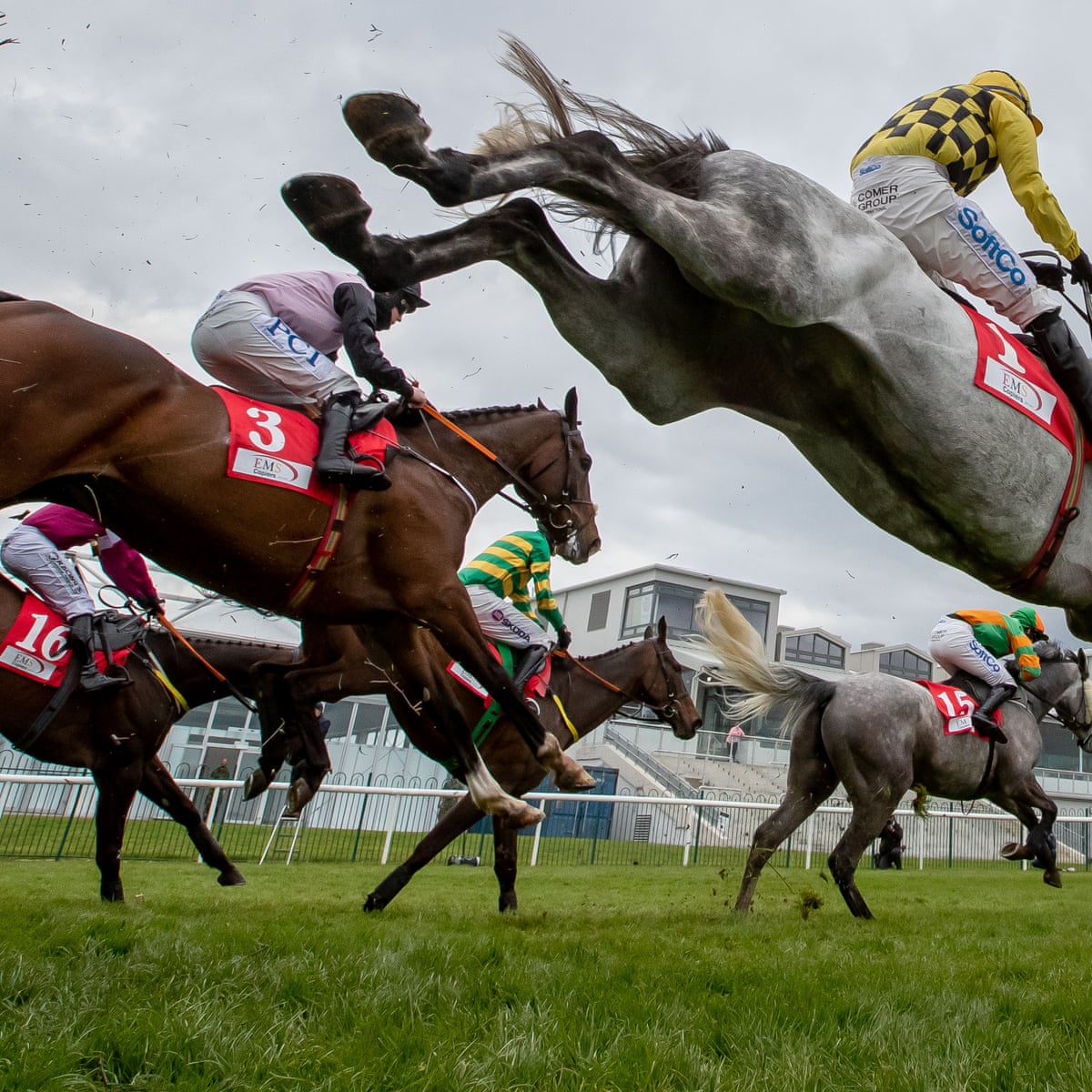 talking horses asterion forlonge can grab king george prize for irish king george vi chase the guardian