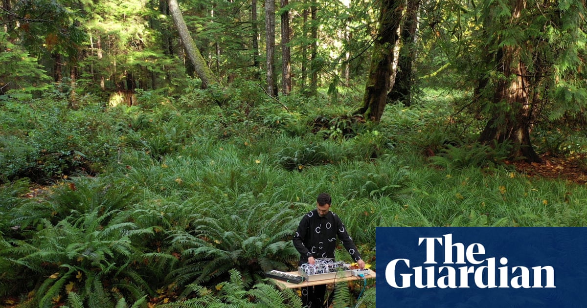 Button pushers: the artists making music from mushrooms