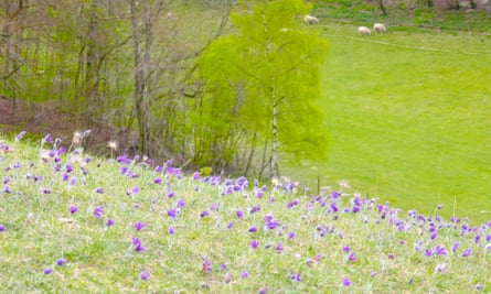 Giant egg hunt comes to RHS Bridgewater this Easter - Manchester