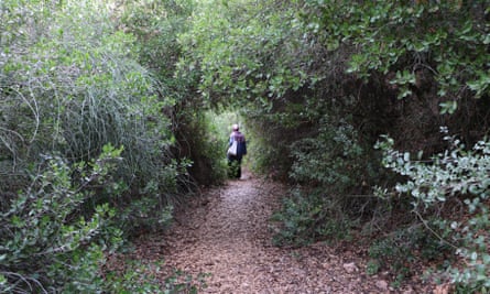 A woman in an abaya and headscarf walks along a path in dense green woodland 