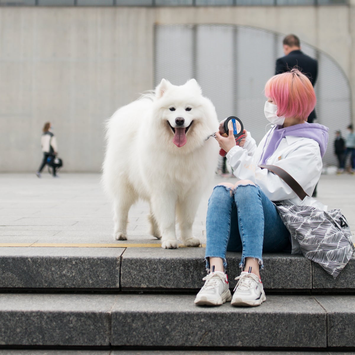 Chinese County Reconsiders Threat To Ban Dog Walking After Backlash China The Guardian