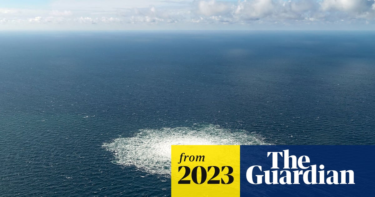 www.theguardian.com